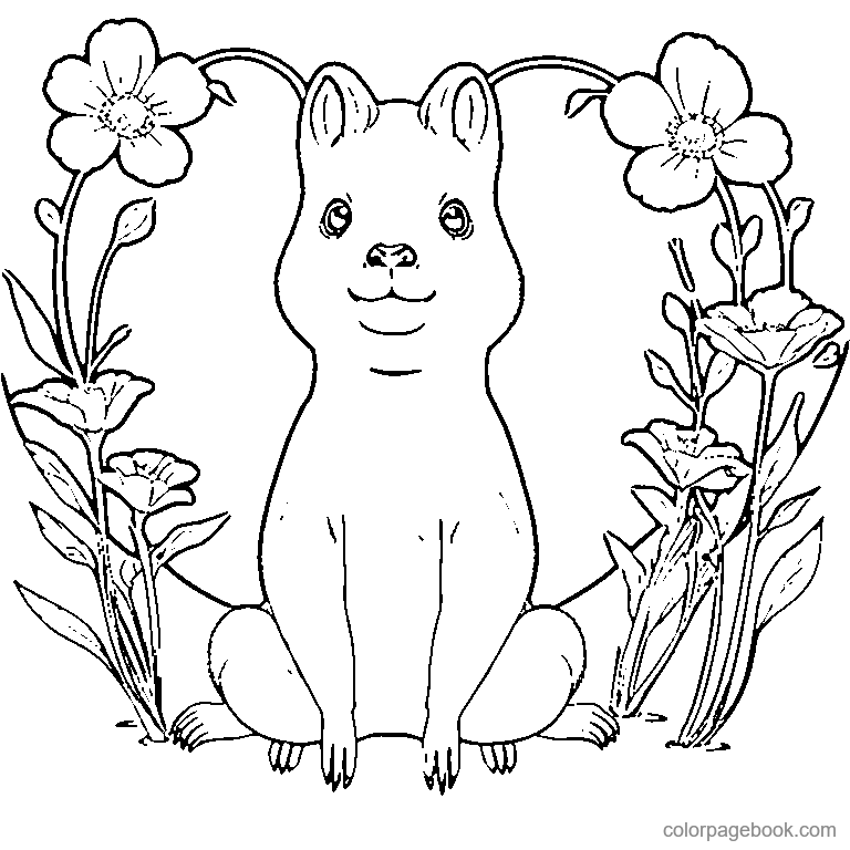 cute capybara with simple flowers coloring page